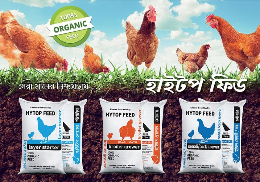 Poultry Feeds