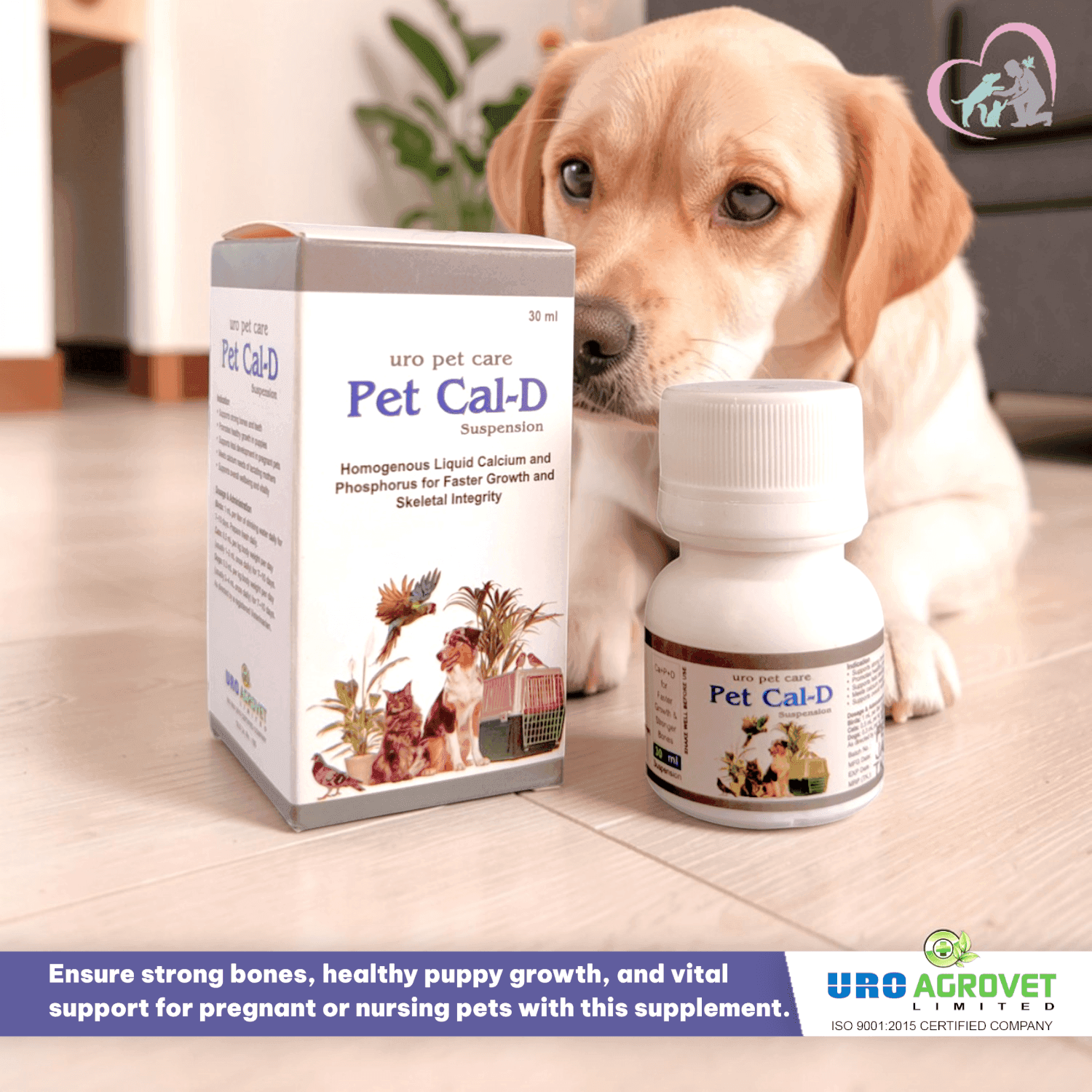 Pet Cal D